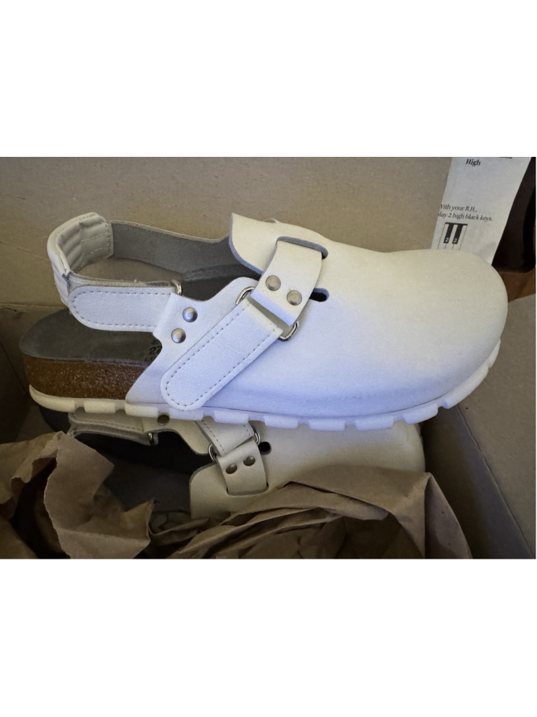 Alpro Birkenstock Clogs